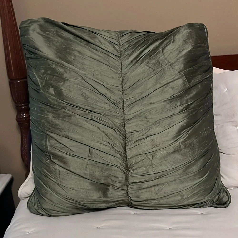 Soft Surroundings Eiuro Sham/ Large Pillow ~ Decorative~ in Soft Green